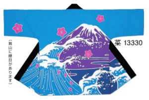 画像1: 顔料染半纏 (1)