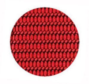 画像2: 陣羽織 簡易陣羽織をお値段以上の高級陣羽織に格上げした、お祭り天国製品 (2)