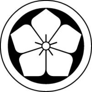 画像7: 丸に桔梗  貼り付け紋（貼り紋）紋のシール (7)