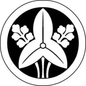 画像7: 丸に沢潟   貼り付け紋(貼り紋)紋のシール (7)