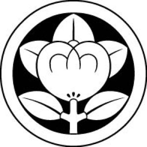 画像7: 丸に橘   貼り付け紋(貼り紋)紋のシール (7)