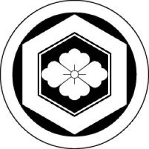 画像7: 丸に亀甲に花菱   貼り付け紋(貼り紋)紋のシール (7)