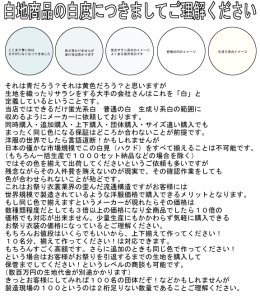 画像2: 大人白本ダボシャツ (2)